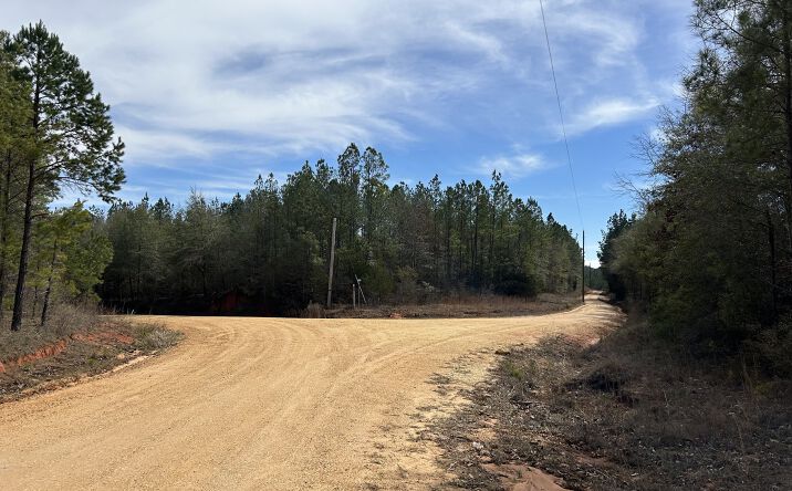 Pictures of Land property located at 0 Garland Road, Garland, AL 36456 for sales - image #1