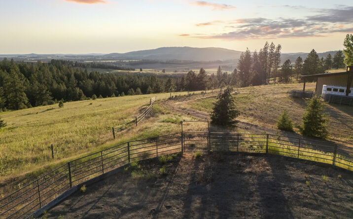 Pictures of Mixed Use, Land, Multifamily property located at 10718 S MICA VISTA LN, MICA, WA 99023-5007 for sales - image #1