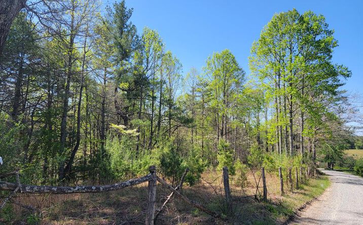 Pictures of Land, Multifamily property located at TBD Church Hill Rd, Independence, VA 24348 for sales - image #1
