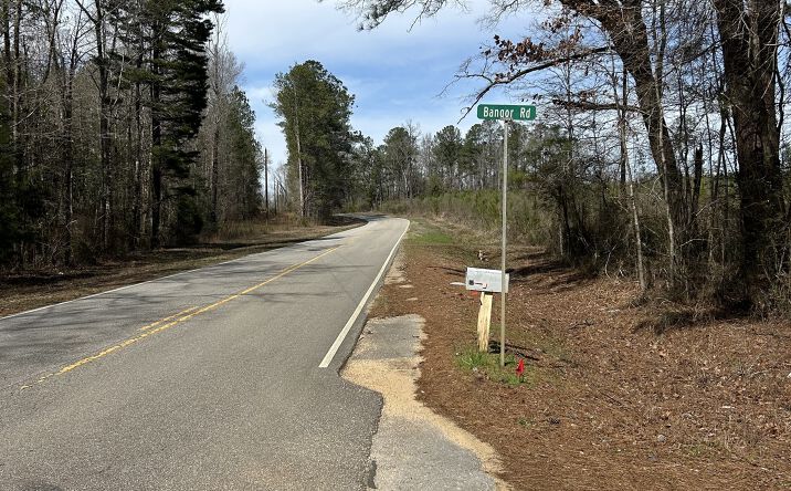Pictures of Land property located at 0 Hank Williams Road, Garland, AL 36456 for sales - image #1