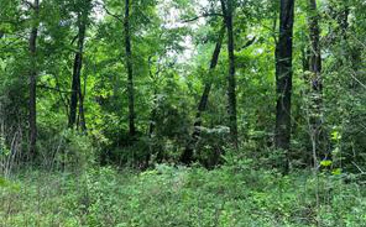 Pictures of Land property located at TBD Lot 22 Forester, Livingston, TX 77351 for sales - image #1