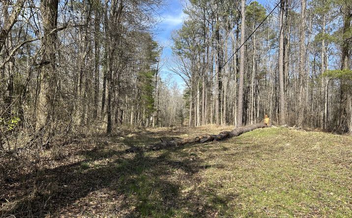 Pictures of Land property located at 0 Reid Road, Garland, AL 36456 for sales - image #1