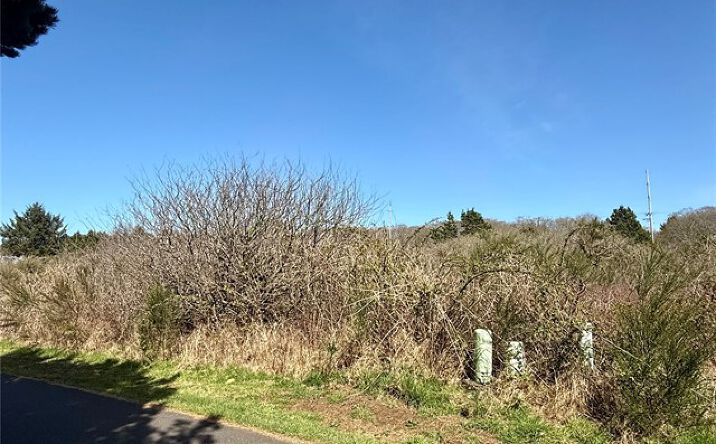 Pictures of Land property located at 2 XXX Francis Seamore Lane, Grayland, WA 98547 for sales - image #1