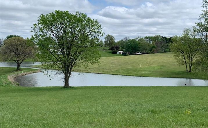 Pictures of Land, Special Purpose property located at 6695 SE Tillery Road, Faucett, MO 64448 for sales - image #1