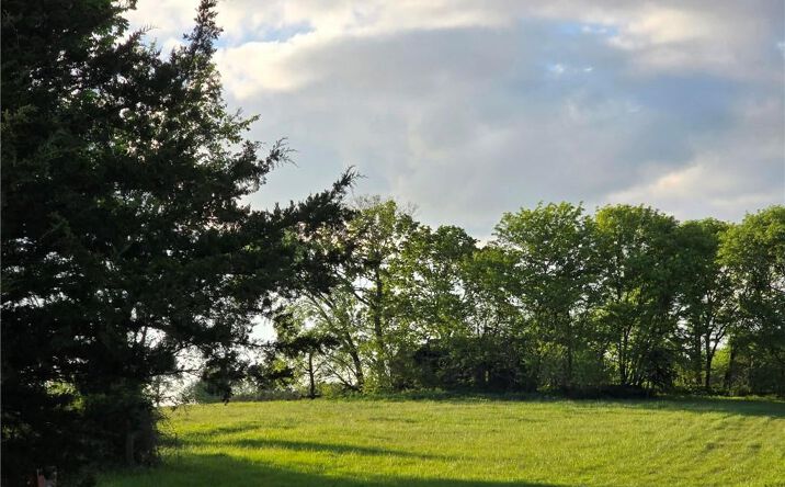Pictures of Land property located at TBD 501 80 +/- Acres Road, Clinton, MO 64735 for sales - image #1