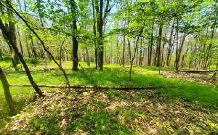 Pictures of Land, Multifamily property located at Tbd Piney Lane, Cragsmoor, NY 12420 for sales - image #1