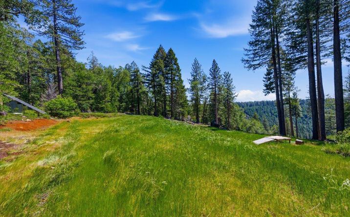 Pictures of Land property located at 13907 Lightning Tree Road, Nevada City, CA 95959 for sales - image #1