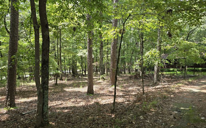 Pictures of Land property located at 4647 Settles Bridge Road, Suwanee, GA 30024 for sales - image #1