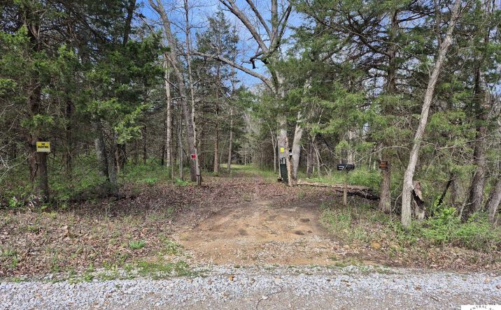 Pictures of Land property located at 7905 SE 375th, Collins, MO 64738 for sales - image #1