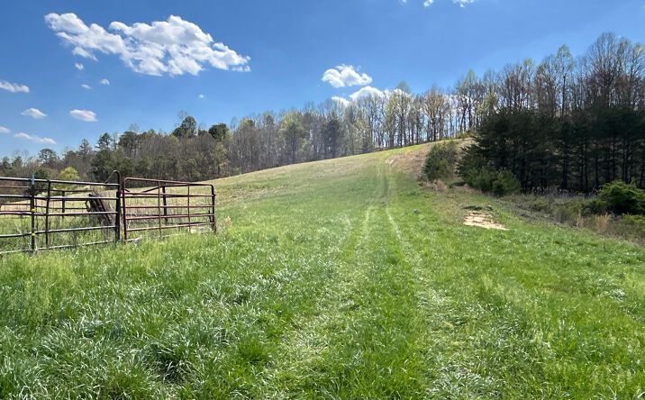 Pictures of Land property located at 1322 Peniel Road, Patriot, OH 45658 for sales - image #1