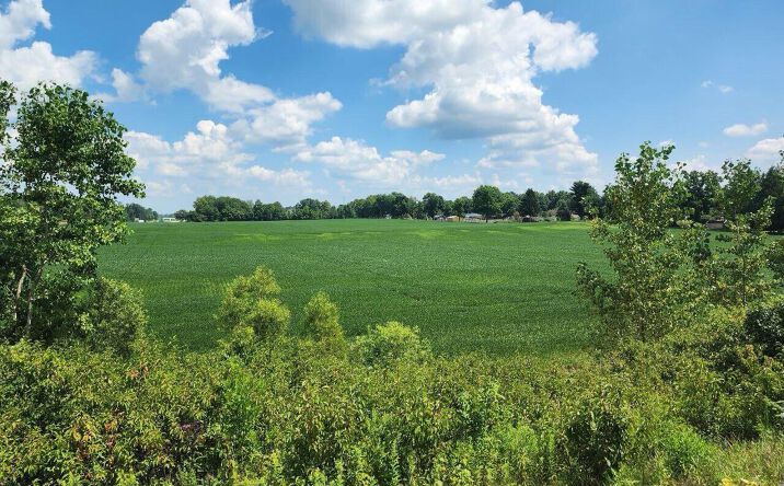 Pictures of Land, Mixed Use property located at 1527 Fairview Road, Galion, OH 44833 for sales - image #1