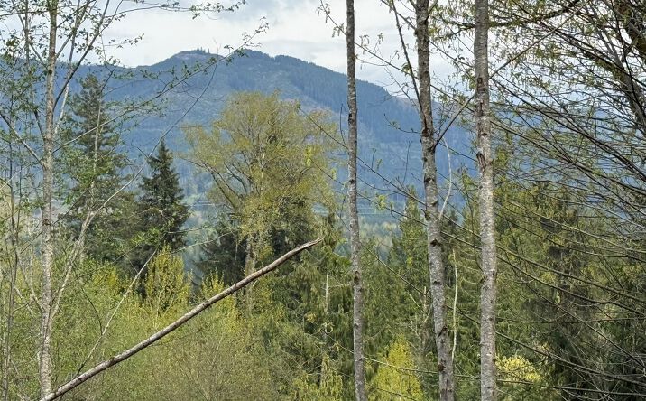 Pictures of Land property located at 33115 37TH AVE NE, ARLINGTON, WA 98223 for sales - image #1