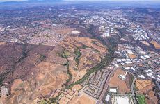 31869925