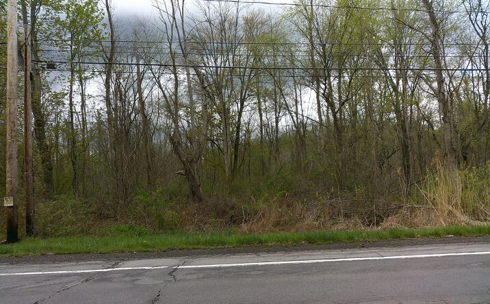 Pictures of Land property located at 1919 N UNION ST, SPENCERPORT, NY 14559 for sales - image #1
