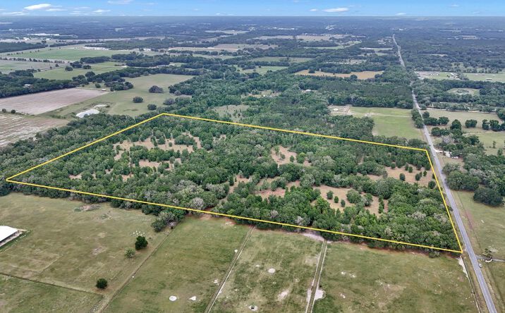 Pictures of Land property located at 650 Northeast 200th Avenue, Williston, FL 32696 for sales - image #1