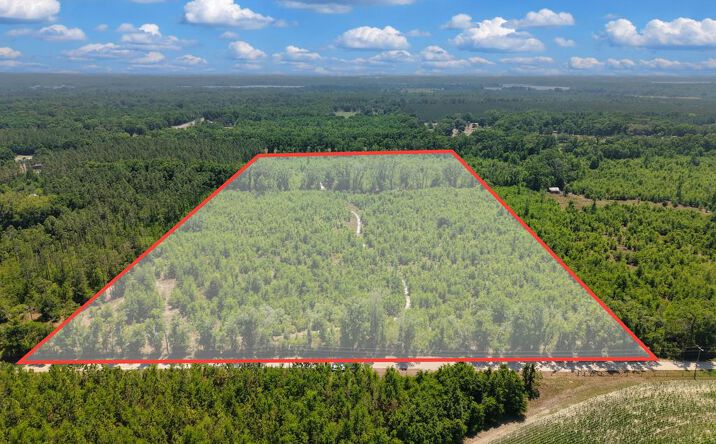 Pictures of Land property located at TBD 000 NE 998th Ave, Branford, FL 32008 for sales - image #1