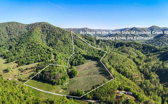 Pictures of Land property located at 1618 Squirrel Creek Road, Ararat, VA 24053 for sales - image #1