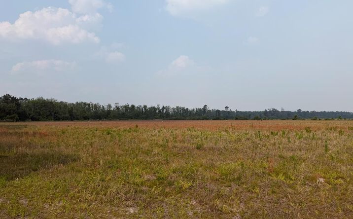 Pictures of Land property located at Moore Road Tract 3, Naylor, GA 31641 for sales - image #1