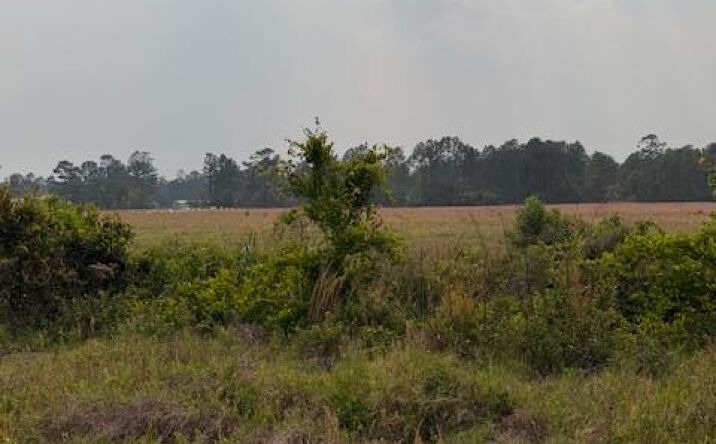 Pictures of Land property located at Moore Road Tract 10, Naylor, GA 31641 for sales - image #1