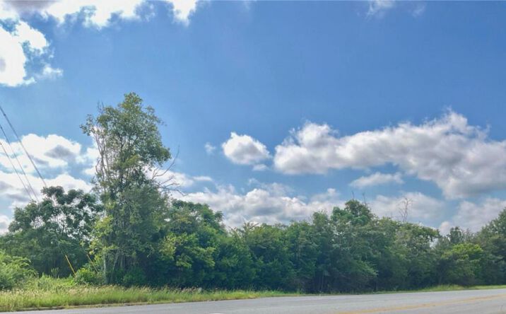 Pictures of Special Purpose property located at 000 Moultrie Road, Albany, GA 31705 for sales - image #1