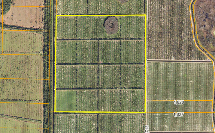 Pictures of Land property located at TBD ORANGE AVE EXTENSION, FORT PIERCE, FL 34945 for sales - image #1