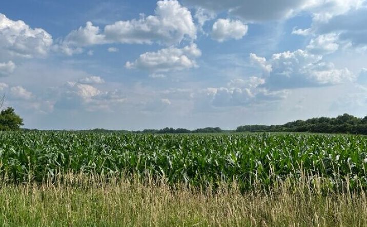 Pictures of Land property located at Saint Croix Road Southeast, Pine City, MN 55063 for sales - image #1