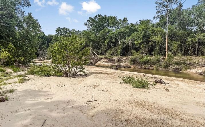 Pictures of Land property located at 3195 Leatherwood Road, 71112, MS 39667 for sales - image #1