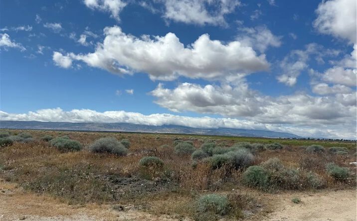 Pictures of Land property located at 170 Avenue B-8, Lancaster, CA 93536 for sales - image #1