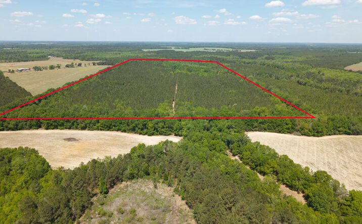 Pictures of Land property located at 0 Effingham Highway, 30964, GA 30467 for sales - image #1