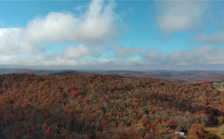 Pictures of Land property located at TBD NC 9311, 8716, AR 72742 for sales - image #1