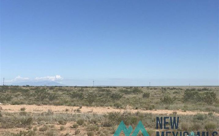 Pictures of Land property located at Buffalo Valley Road, Hagerman, NM 88232 for sales - image #1
