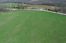 31885081