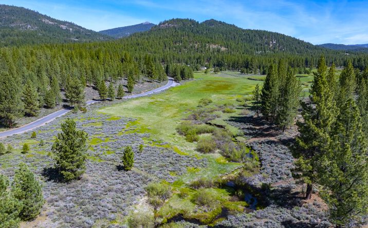 Pictures of Land property located at 1380 WOLF MDWS LN, DELLEKER, CA 96122 for sales - image #1