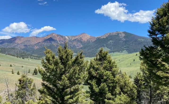 Pictures of Land property located at TBD Camp Creek Road, Melrose, MT 59743 for sales - image #1