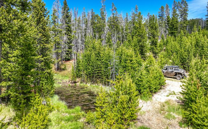 Pictures of Land property located at 357 Ontario Drive, Elliston, MT 59728 for sales - image #1