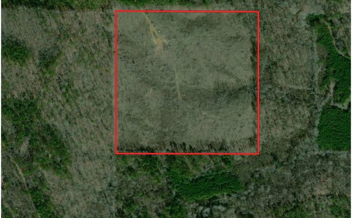 Pictures of Land property located at Oswalt Road, Sturgis, MS 39769 for sales - image #1