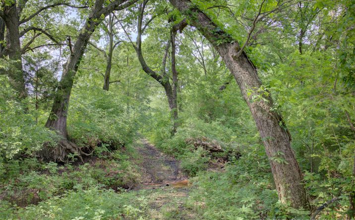 Pictures of Land property located at 20691 E 191st Street S, Haskell, OK 74436 for sales - image #1