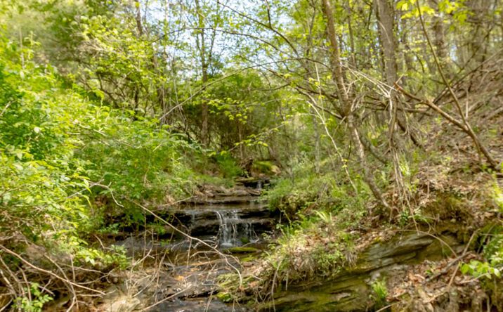19 Acres Grayson Parkway, Independence