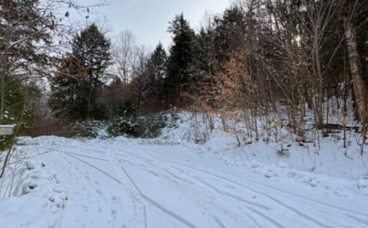 Pictures of Land property located at 144 Grimes Hill Road, Orford, NH 03777 for sales - image #1