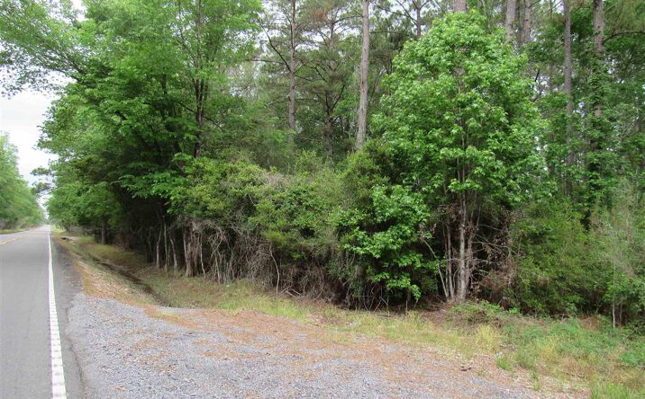 Pictures of Land property located at TBD 30ac tract ROUTE 66, Dequincy, LA 70633 for sales - image #1