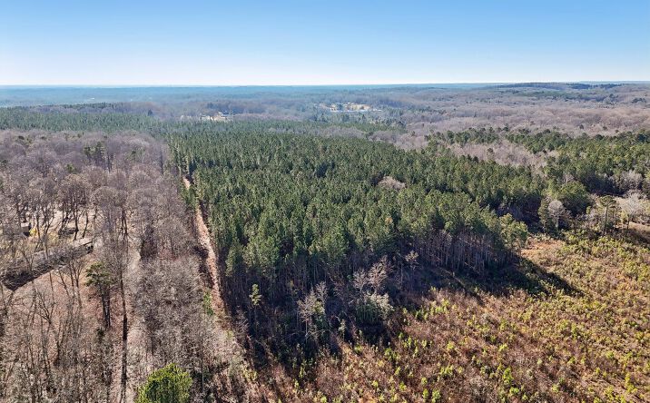Pictures of Land property located at 0 Dewitt Smith Road, Pittsboro, NC 27312 for sales - image #1
