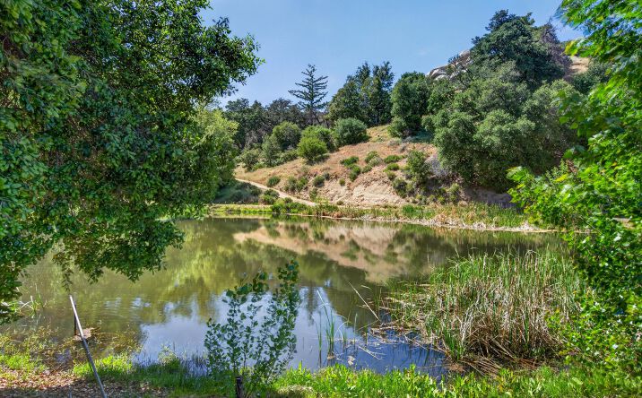 Pictures of Land property located at SAN FELIPE RD, SANTA YSABEL, CA 92086 for sales - image #1