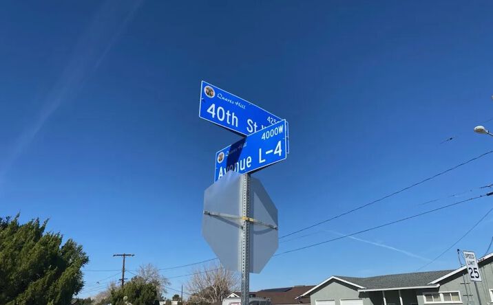 Pictures of Land property located at Vac/Vic Avenue L4/39th Stw, Lancaster, CA 93536 for sales - image #1