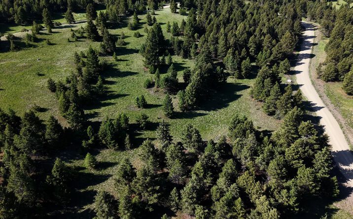 Pictures of Land property located at NHN Lot 6 Phase 3A Dolus Lake Road Lot 6, Deer Lodge, MT 59722 for sales - image #1
