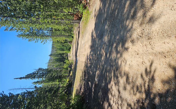 Pictures of Land property located at 7524 Lower Telegraph Creek Road, Elliston, MT 59728 for sales - image #1