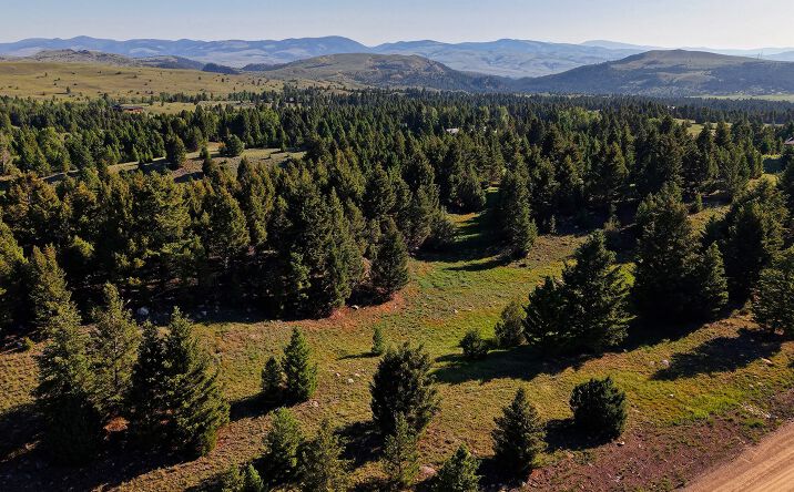 Pictures of Land property located at NHN LOT 1 Phase 3A Dolus Lakes Road Lot 1, Deer Lodge, MT 59722 for sales - image #1