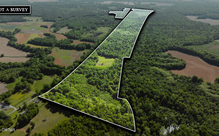Pictures of Land property located at Beech Bluff Road, Beech Bluff, TN 38313 for sales - image #1