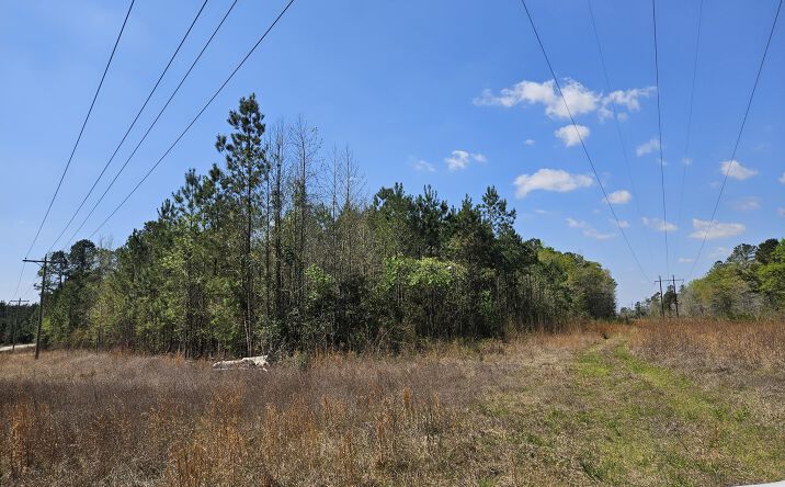 6.9ac Easler Highway, Greeleyville