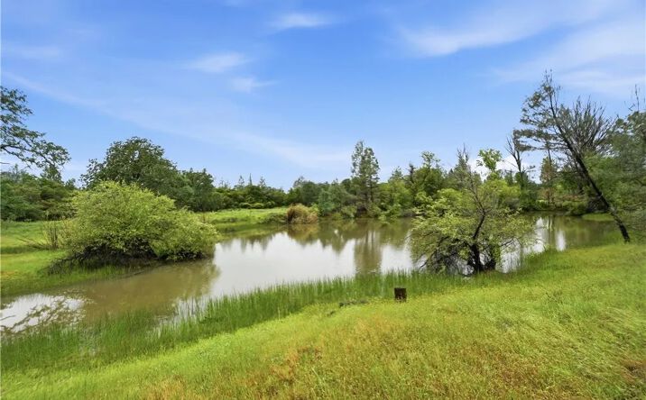Pictures of Land, Special Purpose property located at 19894 Black Bass Pass, Lower Lake, CA 95457 for sales - image #1