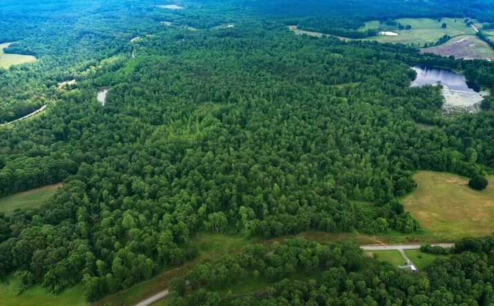 Parkburg (Lot 17 & 18) Road, Pinson